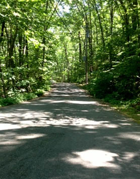 Campsites with hiking trails in Massachusetts